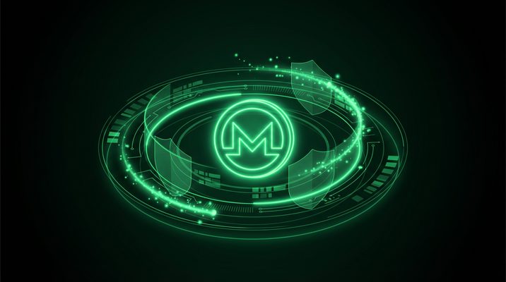 Monero XMR payment integration